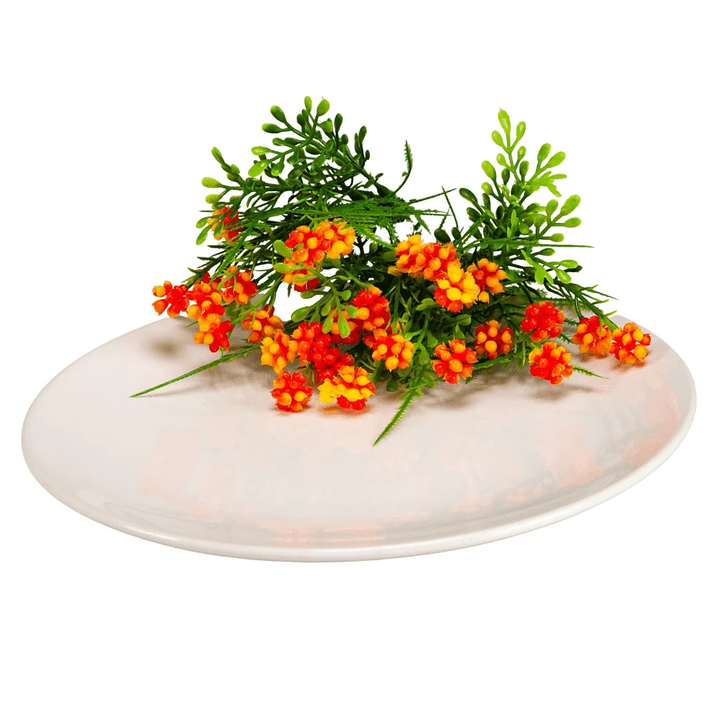 Set mit 6 glänzend weißen Desserttellern 22 cm - Master