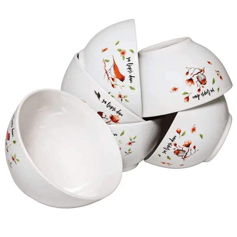 Set mit 6 Schalen mit Schildkrötendekor, 650 ml, Arktisweiß - Master